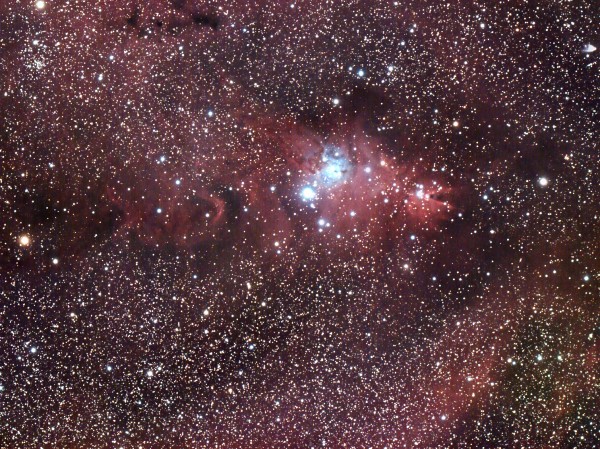 La nbuleuse du Cne, NGC2264